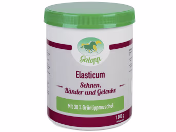 Produktbild: Galopp Elasticum für Pferde