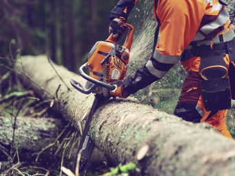 Lifestyle: Waldarbeiter sägt mit Husqvarna Benzin-Kettensäge einen Baumstamm in Schutzkleidung