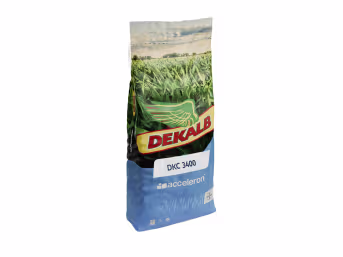 Produktbild: Mais-Saatgut Dekalb DKC 3400 (K 240)