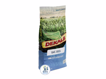 Produktbild: Mais-Saatgut Dekalb DKC 3513 (S 260, ca. K 250)