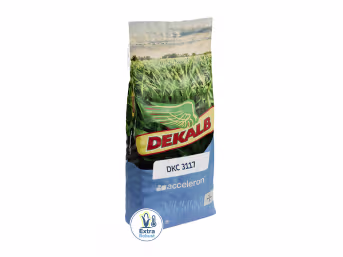 Produktbild: Mais-Saatgut Dekalb DKC 3117 (S 230, ca. K 220)