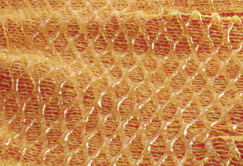 Produktbild: Handschuhe Criss Cross Gr. 10