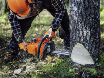 Lifestyle: Husqvarna® Benzin-Kettensäge 445S