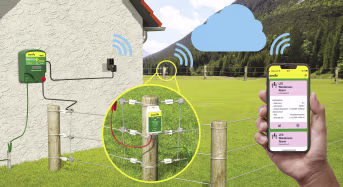 Lifestyle: Patura Weidezaunalarm für Überwachung Weidezaun über LTE-M (4G/5G)