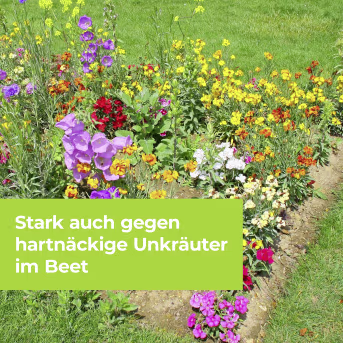 Lifestyle: Protect Garden Unkrautvernichter Permaclean Duo Unkraut & Wurzel-Ex
