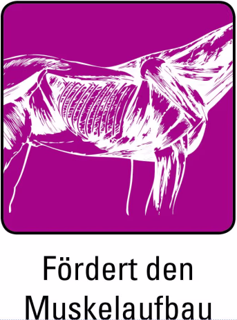 ART_SealOfApproval