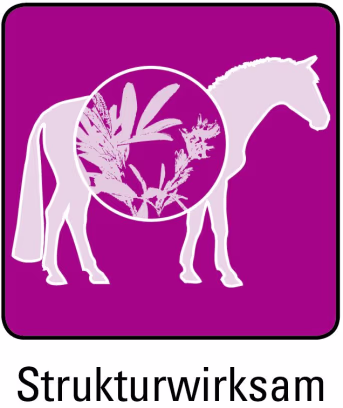 ART_SealOfApproval