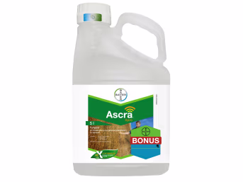 Produktbild: Bayer Ascra Xpro