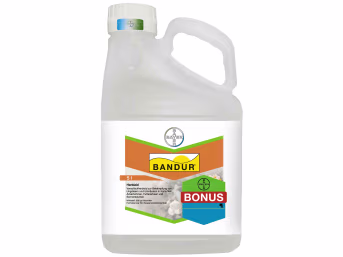 Produktbild: Bayer Bandur 5 l Kanister