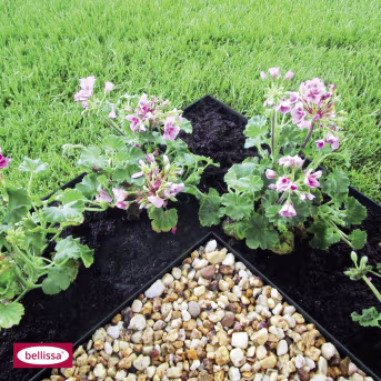 Lifestyle: Anthrazitfarbene Metall-Rasenkante trennt Blumenbeet mit Geranien von Rasen und Kiesfläche
