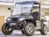 Produktbild: Carello Elektrotransporter TR 5 Allrad