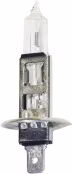Produktbild: Halogenlampe H1 12, 24 V, V, Sockel P14,5s