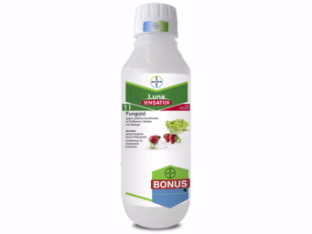 Produktbild: Bayer Luna Sensation