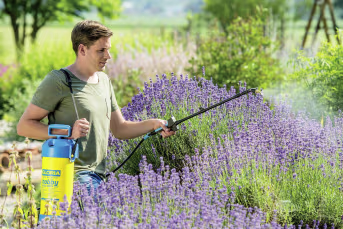 Lifestyle: GLORIA® Drucksprühgerät Hobby exclusiv Gartenspritze, Drucksprüher, Sprühgerät, Druckpumpe