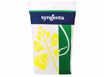 Produktbild: Winterraps Saatgut Syngenta in Sackverpackung mit Rapsblüten-Motiv