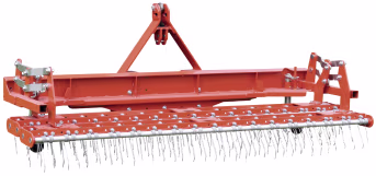 Produktbild: Wiedenmann® Rasenstriegel Terra Rake