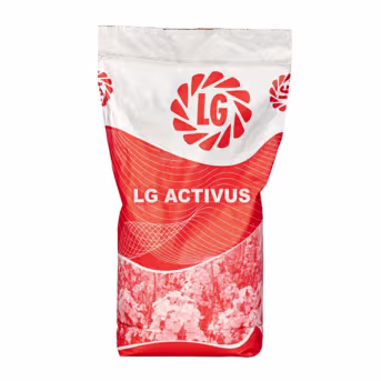 Produktbild: Winterraps Saatgut LG ACTIVUS