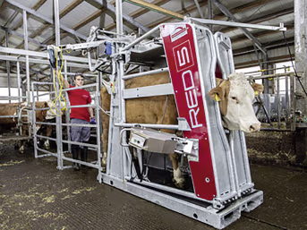 Lifestyle: ROSENSTEINER Klauenpflegestand Red 5