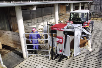 Lifestyle: ROSENSTEINER Klauenpflegestand Kipp Top II