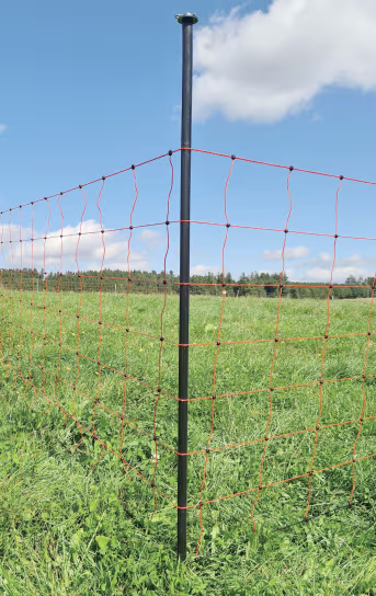 Lifestyle: Unterstützungspfahl mit Einzelspitze stabilisiert Weidenetz auf grüner Weide