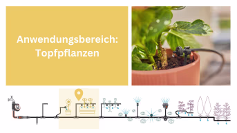 Detailbild: Tropfbewässerung für Topfpflanzen mit Endtropfer in Blumentopf