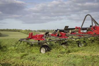 Lifestyle: Massey Ferguson Heuwender MF TD DN Dreipunktanbau