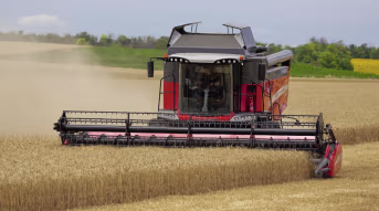 Lifestyle: Massey Ferguson Mähdrescher MF Beta