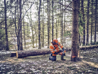 Lifestyle: Husqvarna® Benzin-Kettensäge 562 XP® Mark II