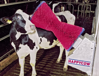 Lifestyle: HappyCow Kuhputzmaschine Happycow Uno