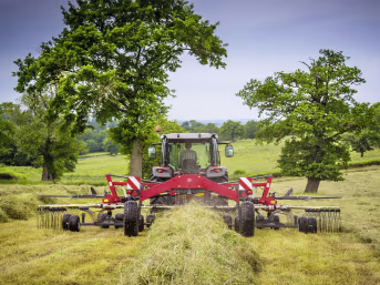 Lifestyle: Massey Ferguson Schwader MF RK 2 Kreisel, Schwad mittig