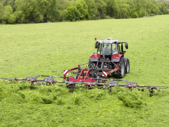 Lifestyle: Massey Ferguson Heuwender MF TD X