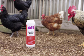 Produktbild: cit® Insektenpulver 500 ml für kriechenden Insekten wie Asseln, Käfern, Drahtwürmern