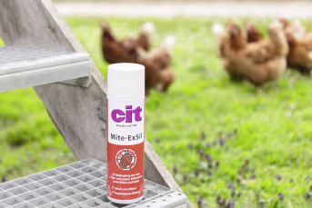 Produktbild: cit® Milbenspray Mite-ExSil 500 ml für die rote Vogelmilbe, andere Vogelmilbenarten, Flöhe, Zecken