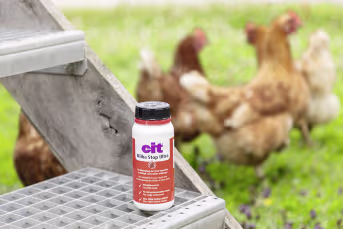 Produktbild: cit® Milbenkonzentrat MilbaStop Ultra 250 ml für die rote Vogelmilben in Geflügel- und anderen Stallungen