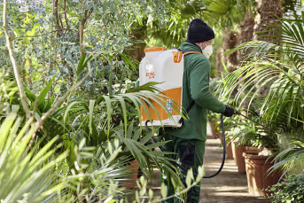 Lifestyle: Person behandelt Pflanzen im Gewächshaus mit STIHL Akku-Rückenspritze SGA 85