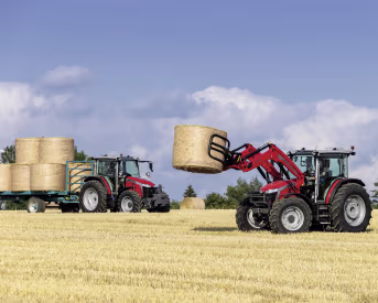 Lifestyle: Massey Ferguson Traktor MF 5M