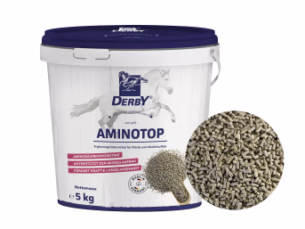 Produktbild: DERBY® Aminotop mit Aminosäuren für die Muskulatur von Pferden