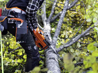 Lifestyle: Husqvarna® Benzin-Kettensäge 445S