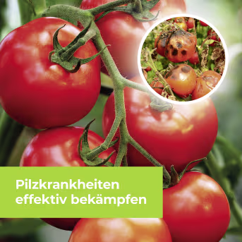 Produktbild: Protect Garden Pflanzenschutzmittel Curamat AZ Universal Pilzfrei
