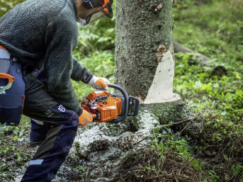 Lifestyle: Husqvarna® Benzin-Kettensäge 450X