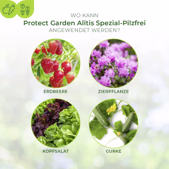 Detailbild: Protect Garden Pflanzenschutzmittel Alitis Spezial-Pilzfrei 40 g