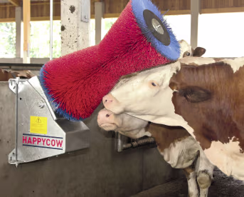 Lifestyle: HappyCow Kuhputzmaschine Happycow Uno