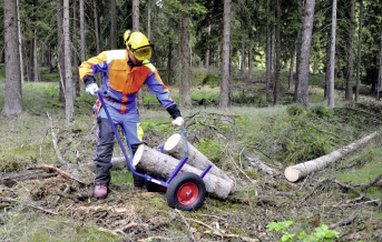 Produktbild: Holztrolley für Meterholzstämme bis zu 50 cm Durchmesser oder Holzbündel