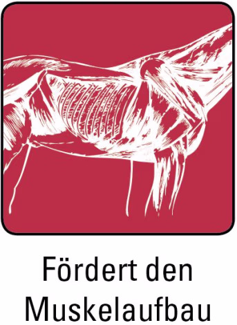 ART_SealOfApproval