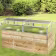Lifestyle: JUWEL Thermohaus 200 x 100 x 40 cm Typ 200 transparent