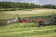 Lifestyle: Massey Ferguson Heuwender MF TD 868 DN 8,60 m Dreipunktanbau Heck