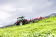 Produktbild: Massey Ferguson Heuwender MF TD 776 TRC 7,70 m Unterlenker Heck Transportfahrwerk
