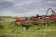 Lifestyle: Massey Ferguson Heuwender MF TD DN Dreipunktanbau