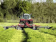 Lifestyle: Massey Ferguson Scheibenmähwerk MF DM Dreipunktanbau Heck, Mähkombination