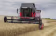 Lifestyle: Massey Ferguson Mähdrescher MF Activa S 7345 MCS 191 kW (260 PS)